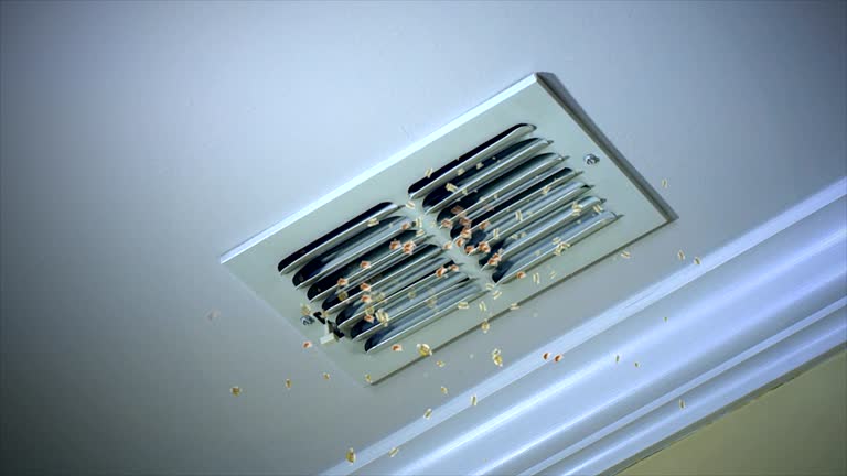 Best Duct Cleaning for Homes  in Sturgis, MI