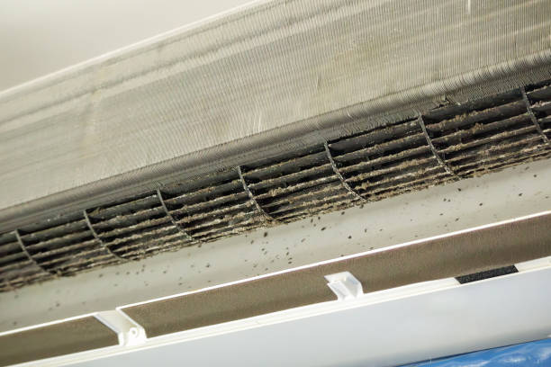 Best Air Duct Cleaning Near Me  in Sturgis, MI